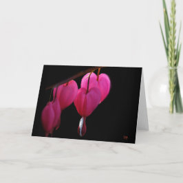 Tarjetas de felicitación en blanco del corazón