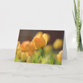 Tarjetas de felicitación - Floral Amarillo de Prim