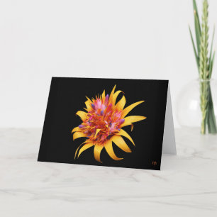 Tarjetas de felicitación floral exóticas