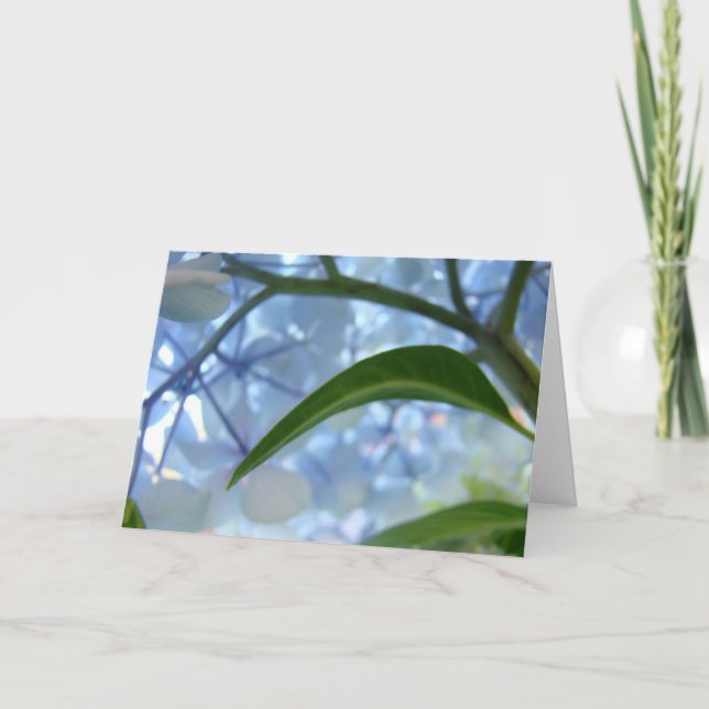 Tarjetas de felicitación florales azules flores de (Anverso)