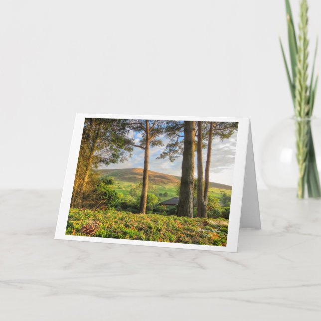 Tarjetas de felicitación fotográficas paisajística (Anverso)