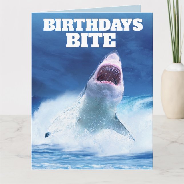 Tarjetas de felicitación FUNNY SHARK BIRTHDAY (Anverso)