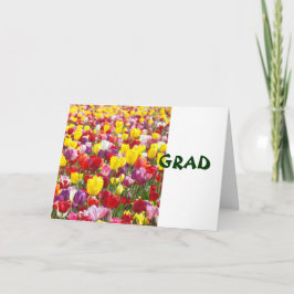 Tarjetas de felicitación GRAD Felicidades Tulipán
