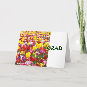 Tarjetas de felicitación GRAD Felicidades Tulipán 