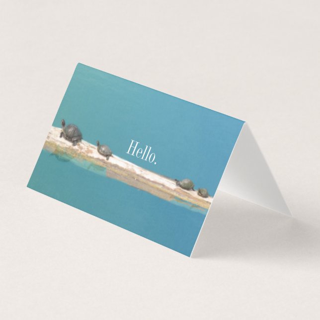 Tarjetas de felicitación "Hello" Turtle Family (Anverso)