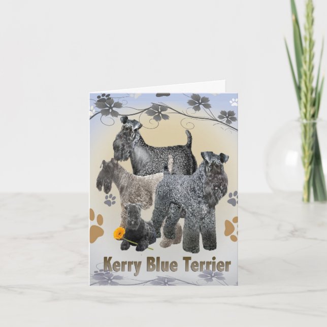 Tarjetas de felicitación Kerry Blue Terrier (Anverso)