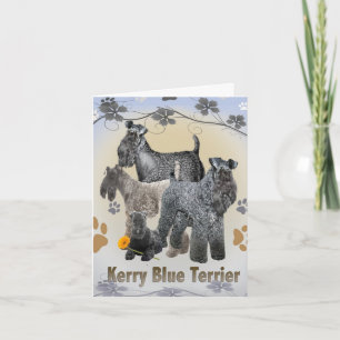 Tarjetas de felicitación Kerry Blue Terrier