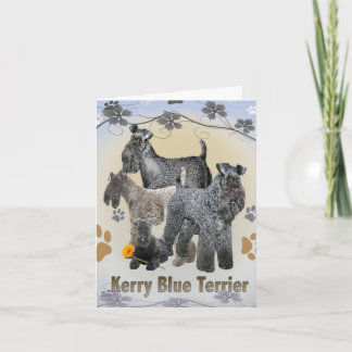 Tarjetas de felicitación Kerry Blue Terrier