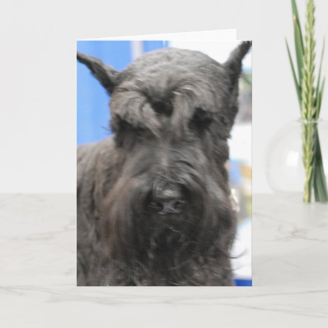 Tarjetas de felicitación lindas del Schnauzer (Anverso)