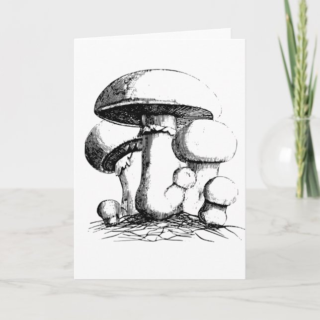 Tarjetas de felicitación Meadow Mushrooms (Anverso)