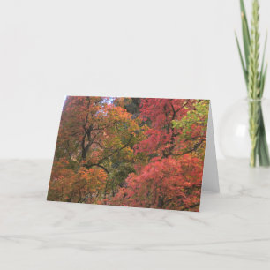 Tarjetas de felicitación místicas del otoño (3)