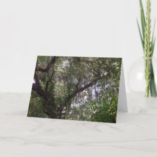 Tarjetas de felicitación Moss Forest Canopy Person