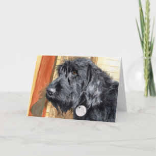 Tarjetas de felicitación negras de Labradoodle #1