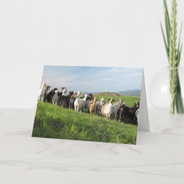 Tarjetas de felicitación NGIP (Anverso)