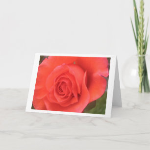 Tarjetas de felicitación o de nota para flor de Ro