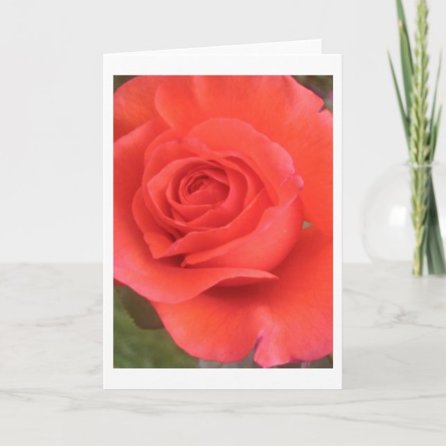 Tarjetas de felicitación o de nota para flor de Ro (Anverso)