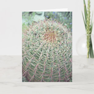 Tarjetas de felicitación o de notas de Swirl Cactu