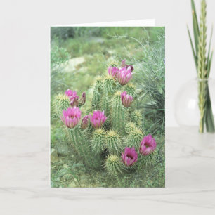 Tarjetas de felicitación o tarjetas de notas para 