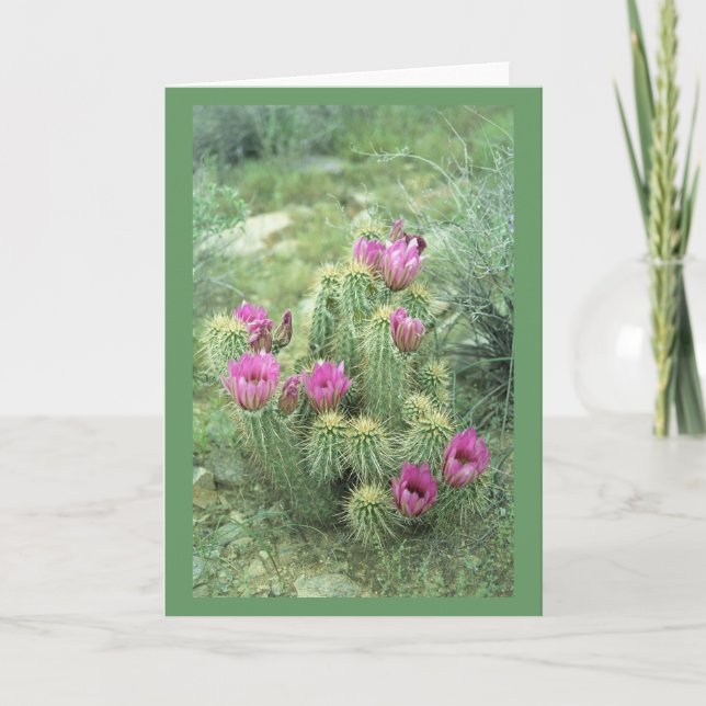 Tarjetas de felicitación o tarjetas de notas para  (Anverso)
