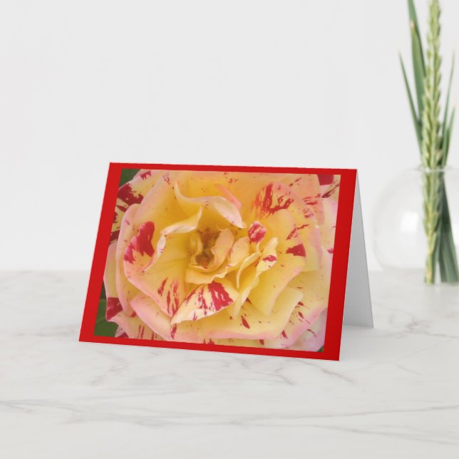 Tarjetas de felicitación o tarjetas de notas rosa  (Anverso)