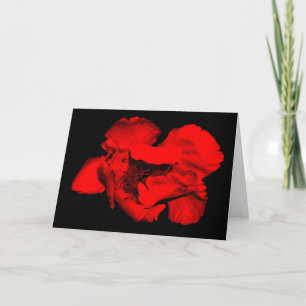 Tarjetas de felicitación oscuras de la flor