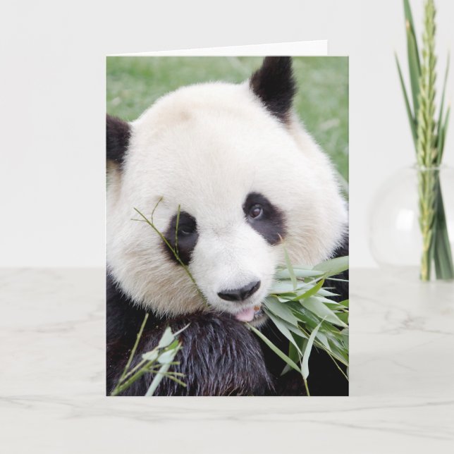 Tarjetas de felicitación Panda gigante de la foto. (Anverso)