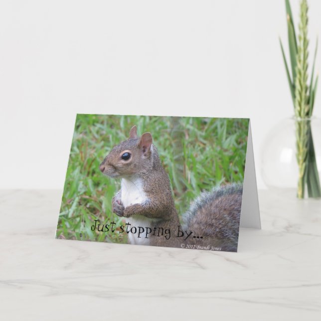 Tarjetas de felicitación para animales (Anverso)