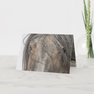 Tarjetas de felicitación para caballos salvajes - 