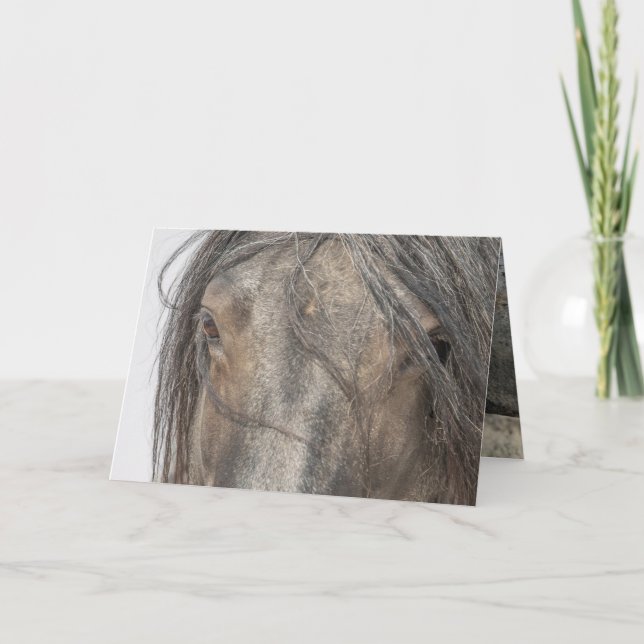 Tarjetas de felicitación para caballos salvajes -  (Anverso)