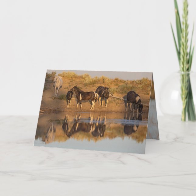 Tarjetas de felicitación para caballos salvajes -  (Anverso)