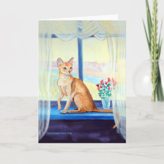 Tarjetas de felicitación para gatos abisinos