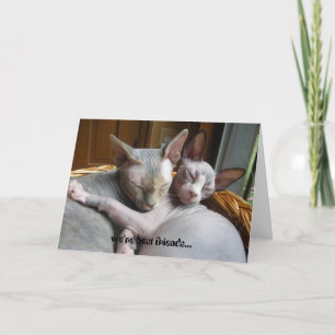 Tarjetas de felicitación para los amantes