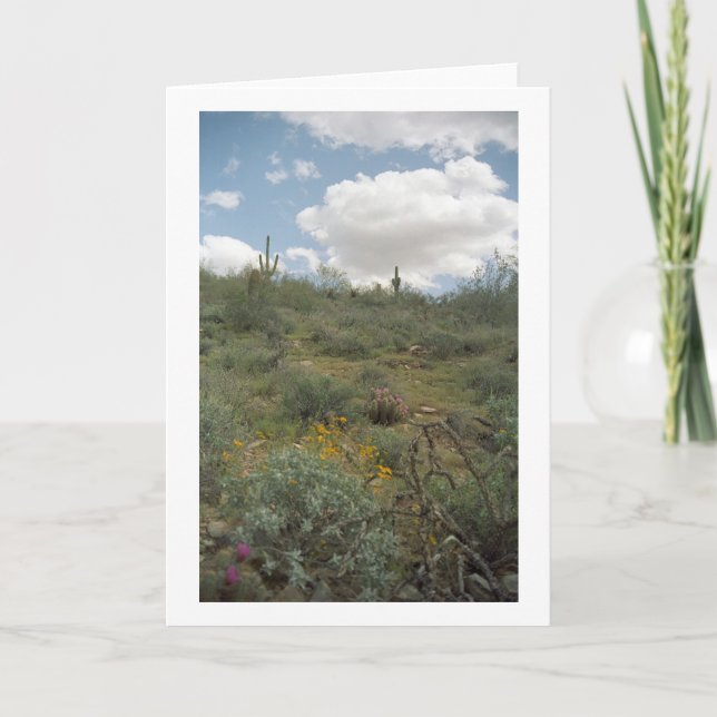 Tarjetas de felicitación para sinfonía del desiert (Anverso)