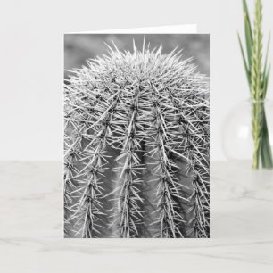 Tarjetas de felicitación por foto del desierto de 