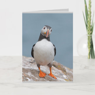 Tarjetas de felicitación Puffin