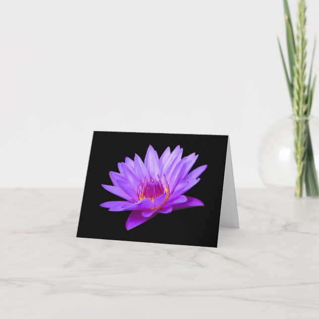 Tarjetas de felicitación Purple Water Lily Blank N (Anverso)