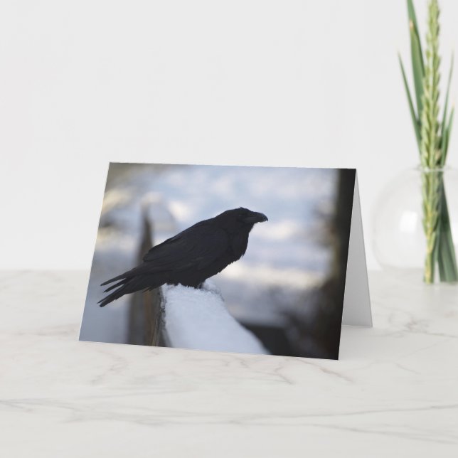 Tarjetas de felicitación Raven (Anverso)