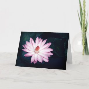 Tarjetas de felicitación rosadas de la flor de