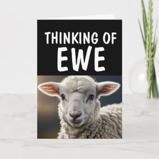 Tarjetas de felicitación SHEEP LAMB FUNNY PUN HELL