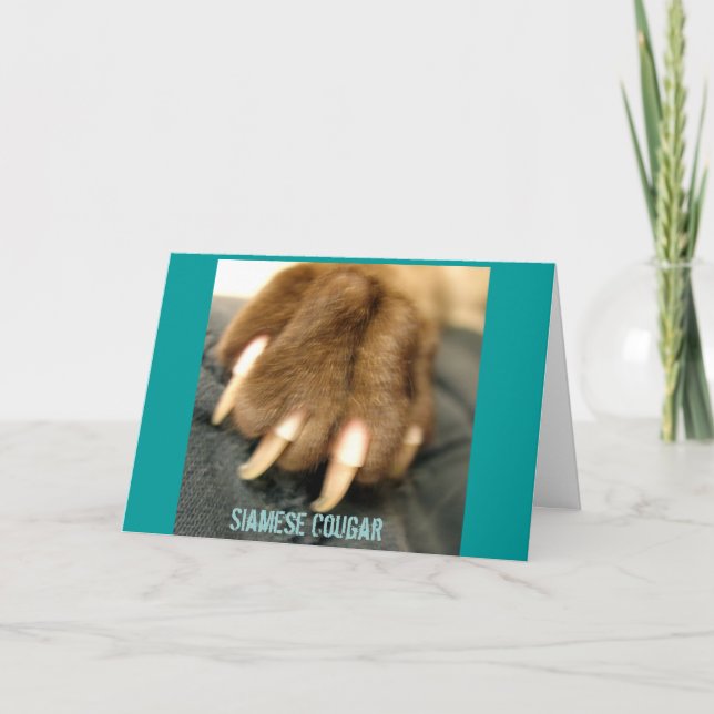 Tarjetas de felicitación siamesas del puma (Anverso)
