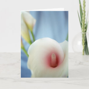 Tarjetas de felicitación Swirl White Calla Lily