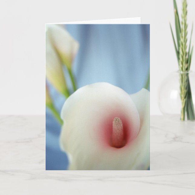 Tarjetas de felicitación Swirl White Calla Lily (Anverso)