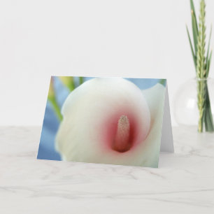 Tarjetas de felicitación Swirl White Calla Lily Ar