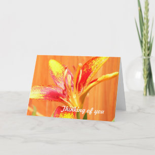 Tarjetas de felicitación Tiger Lily