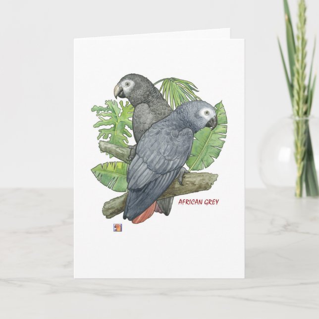 Tarjetas de felicitación tropicales de los grises (Anverso)