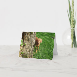 Tarjetas de felicitación Vizsla