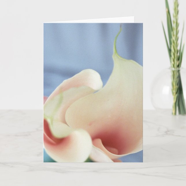 Tarjetas de felicitación Vortex White Calla Lily A (Anverso)