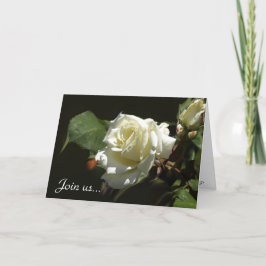 Tarjetas de felicitación Wild White Rose