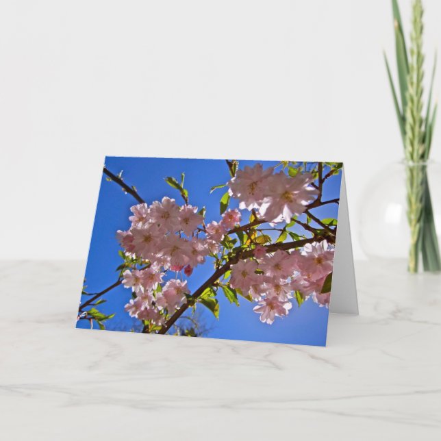Tarjetas de felicitación y notas de cerezo en flor (Anverso)