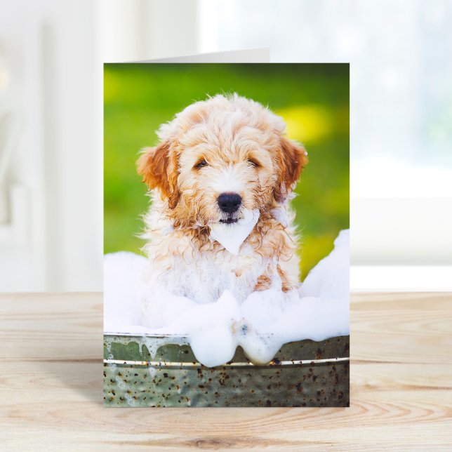 Tarjetas de Felicitaciones con Fotos Personalizada (Subido por el creador)